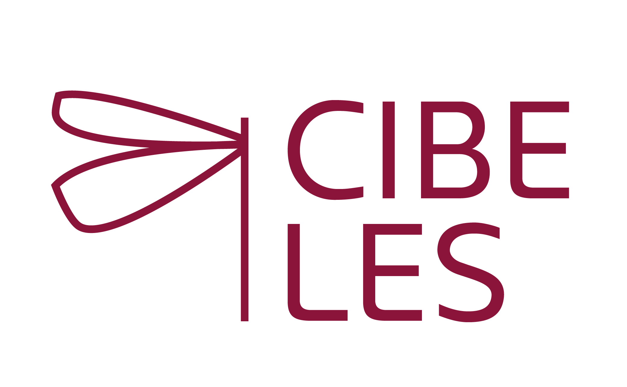 Aula Virtual CEAMCIBELES